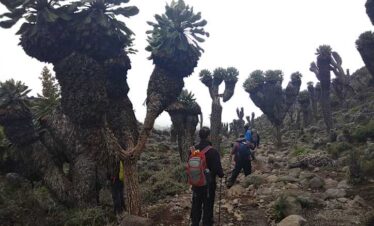 6 Days Kilimanjaro climbing Marangu route